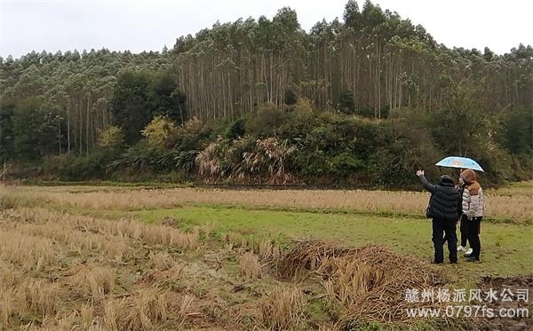 迪庆藏族自治州陈老师带着爱徒寻龙点穴